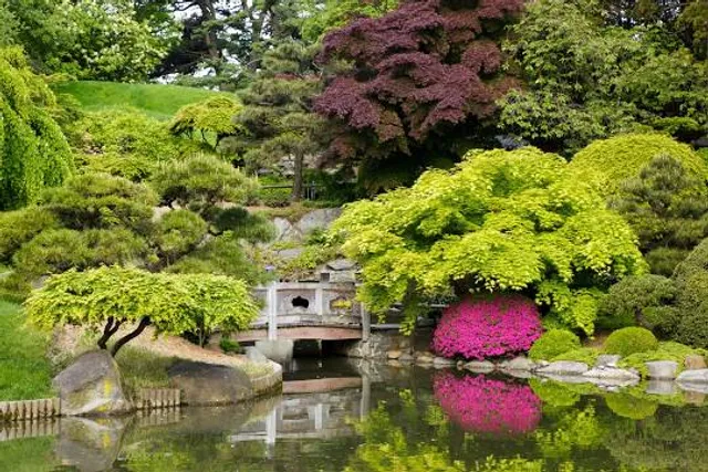 The Japanese Garden