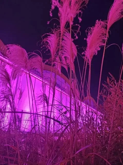 The Ellinikon Experience Park