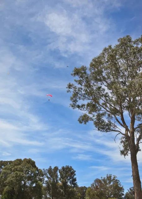 Yongin Nature Recreation Forest