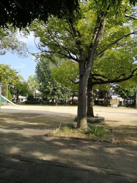 photo-2