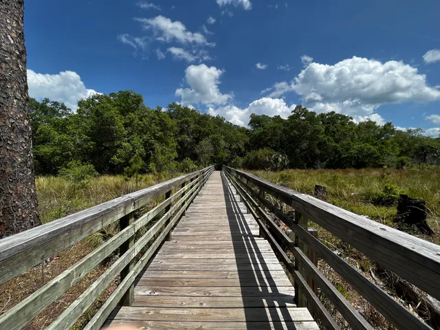 Guana Tolomato Matanzas National Estuarine Research Reserve