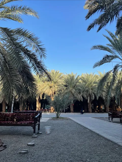 Aryaf Taibah Dates Farm