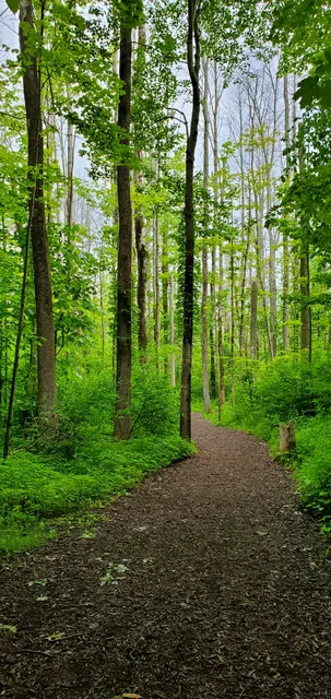 Asbury Woods