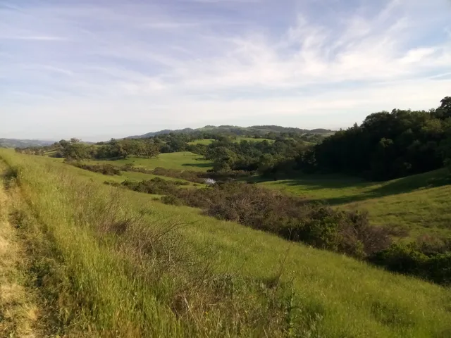 Blue Oak Ranch Reserve