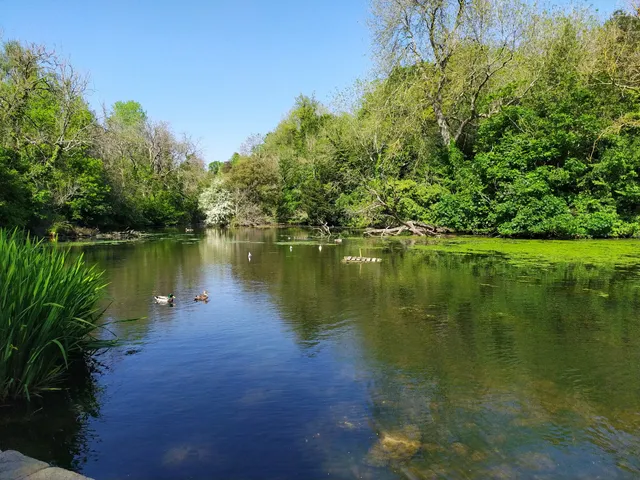 Vinters Park Nature Reserve