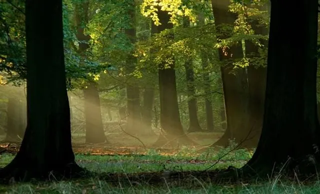 Bunkier kolejowy w Jeleniu