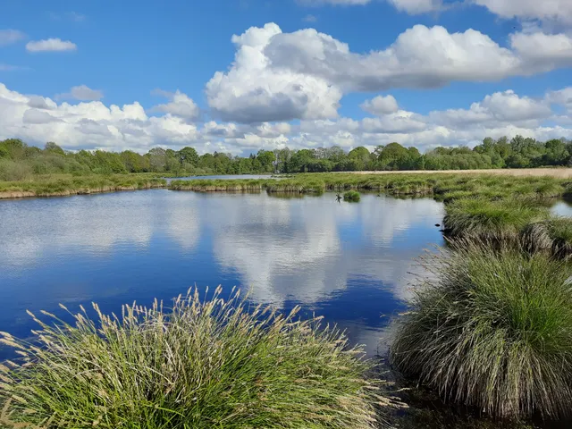 Tourbières De Landemarais