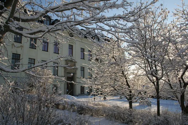 Örnsköldsviks museum och konsthall