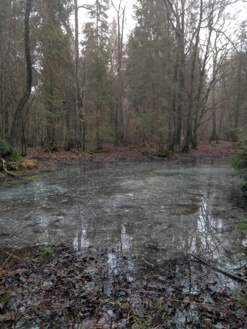 Rezerwat przyrody Topór