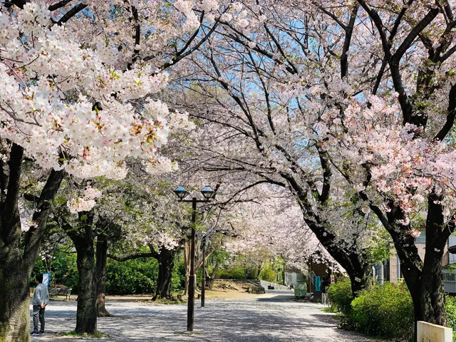 Kami-Ikebukuro Sakura Park