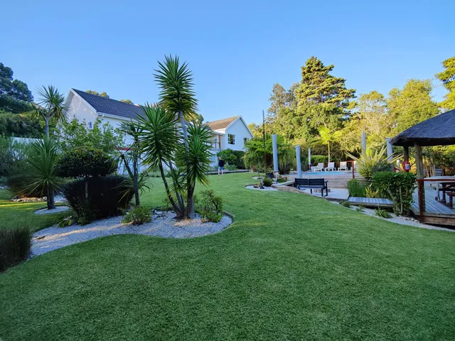 Armadillo Studios Guesthouse