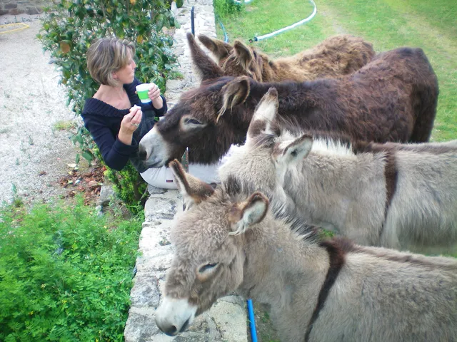 Les Ânes de Min Guen (uniquement sur réservation).