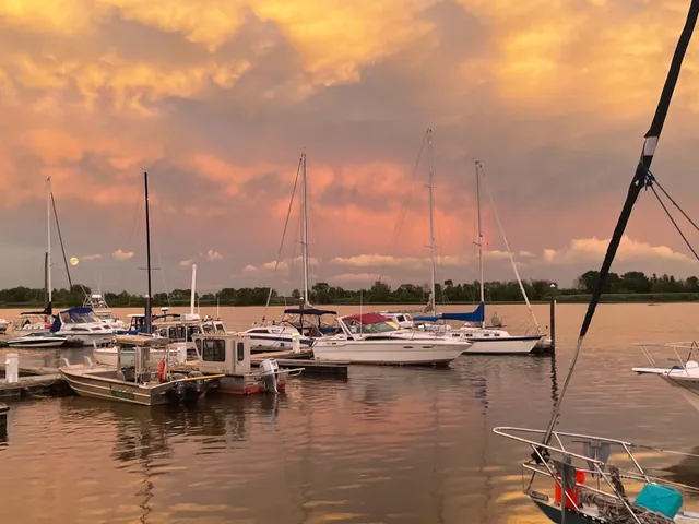 Anchorage Marina Inc