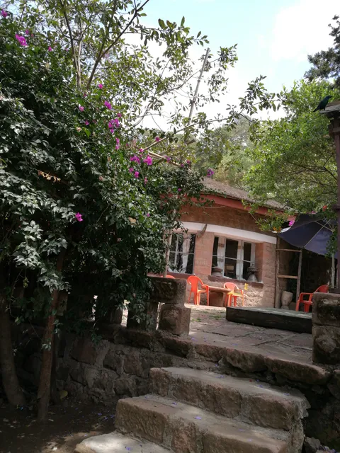 Seven Olives Hotel ሰባት ወይራ ሆቴል