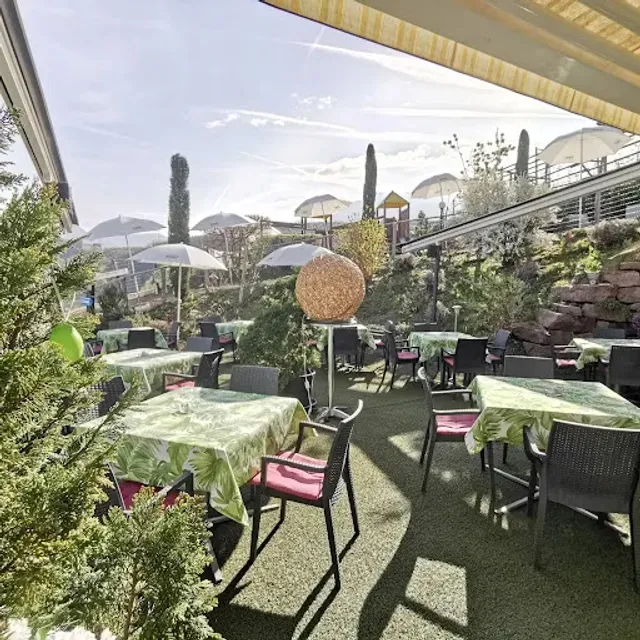 Spinngart Bike & more...