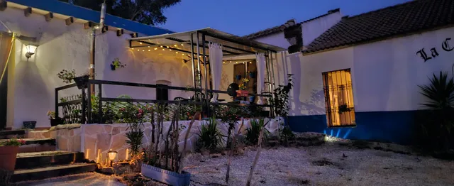 Experience Alpacas in Andalucia