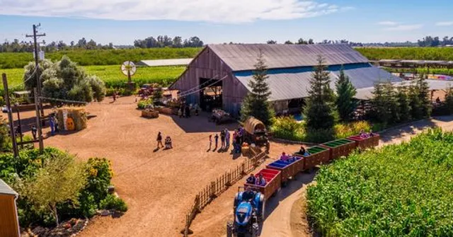 Hunter Farms Pumpkin Patch