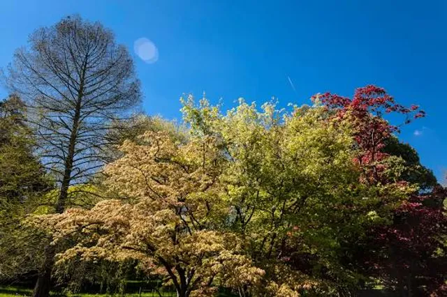 Parc de la Vallée aux Loups
