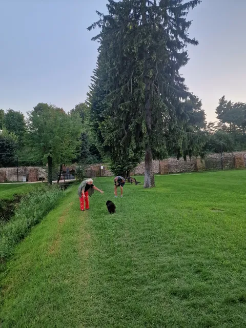 Castiglione delle Stiviere