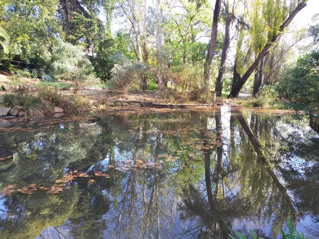 Michael Perry Botanic Reserve