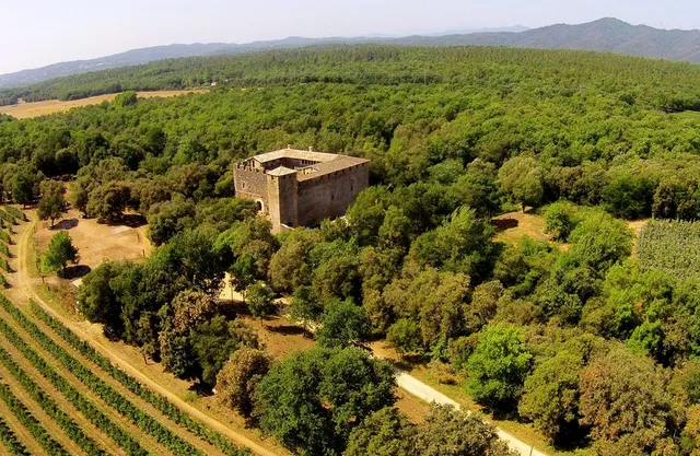 Castell de Cartellà