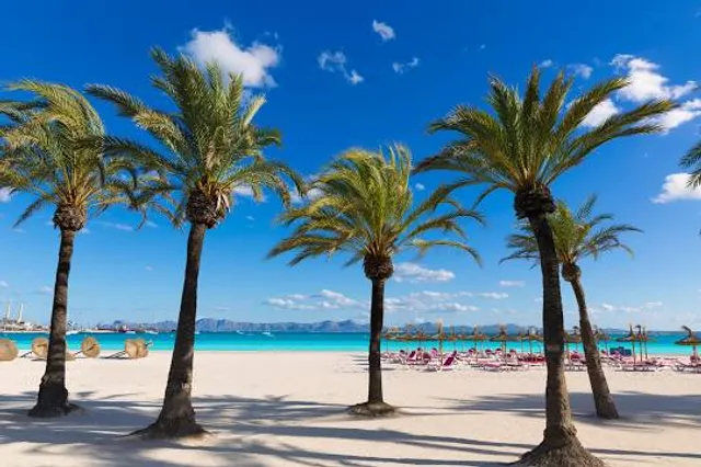 Alcudia beach