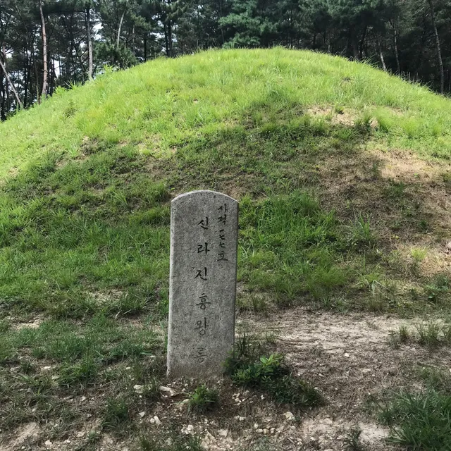 Tomb of King Jinheung of Silla