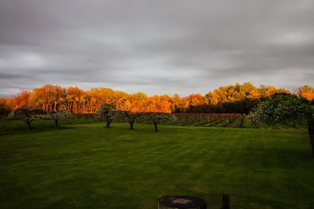 6 Mile Cellars, Inc.