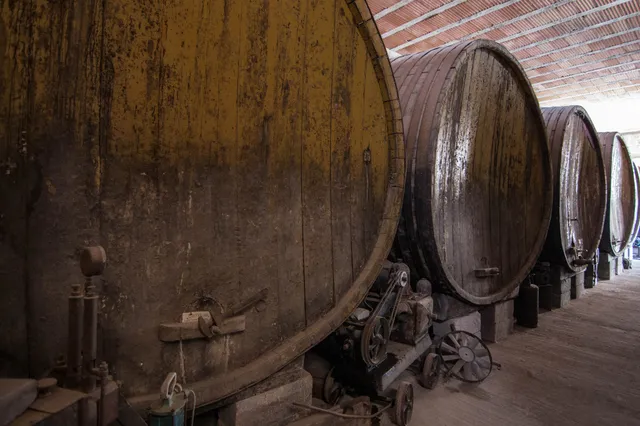 Feudo Ramaddini - Cellar