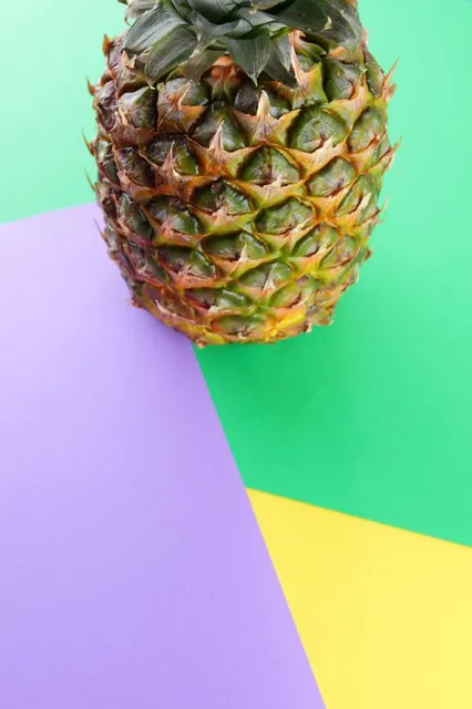 Nevada Museum of Art