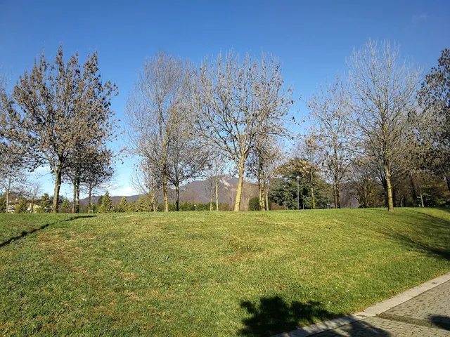 Parco delle Stanze