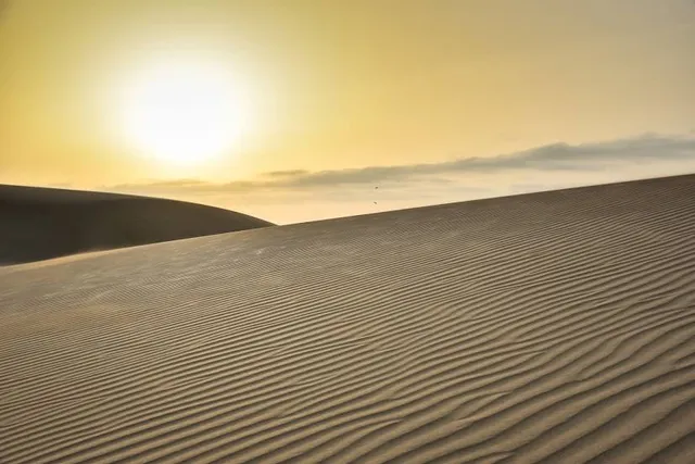 National Nature Reserve of the Somme