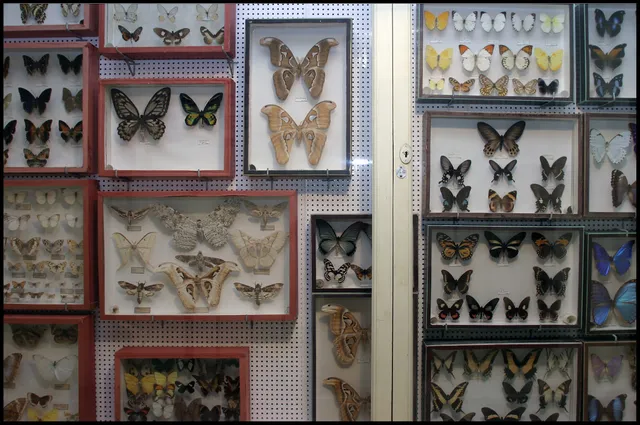 Museum Emmanuel Liais