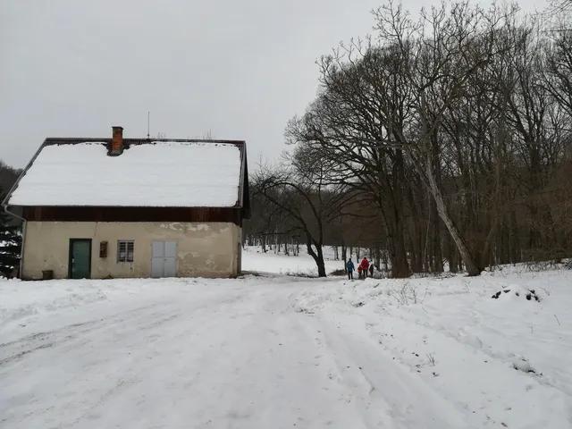 photo-2