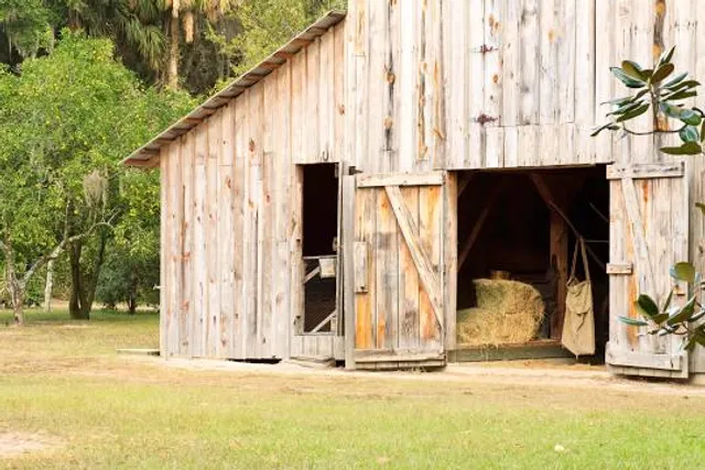 Marjorie Kinnan Rawlings Historic State Park