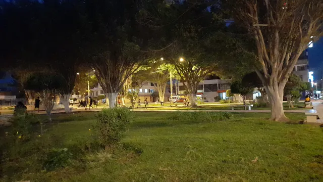 photo-3