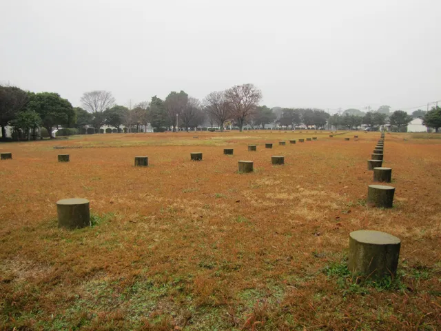 Ogori government office Ruins
