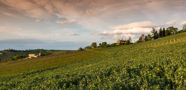 Tenuta Ballerio - Quvestra