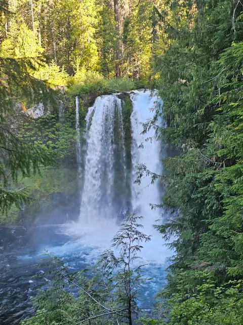 Koosah and Sahalie Falls Trail