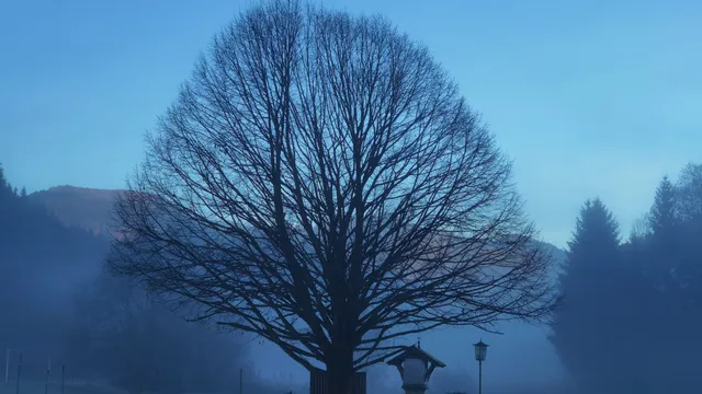 Europakloster Gut Aich