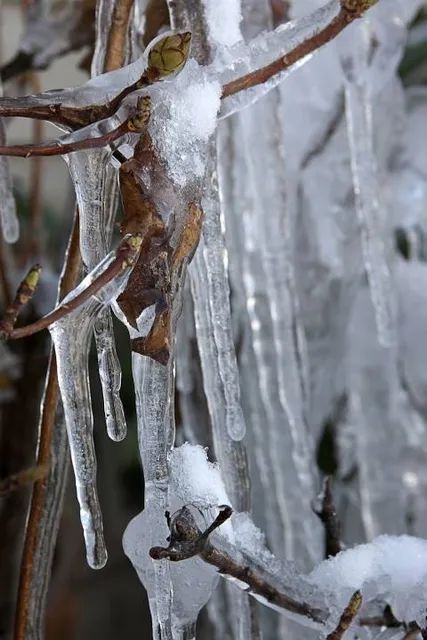 La Maison de la Rivière