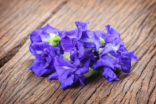 Ilambazar Wood Fossil Park