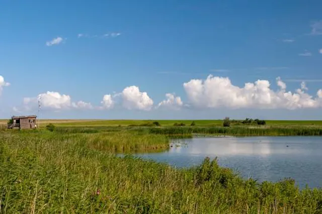 Leyhörn Nature Reserve