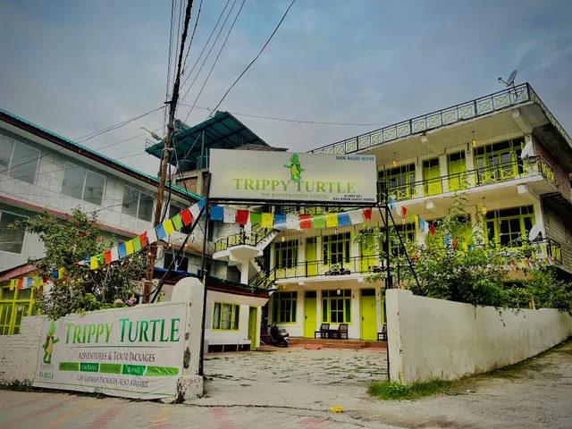 Trippy Turtle Hostel