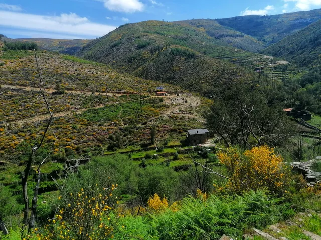 Benfeita (Aldeias do Xisto)