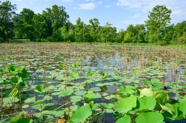 Kenilworth Park & Aquatic Gardens