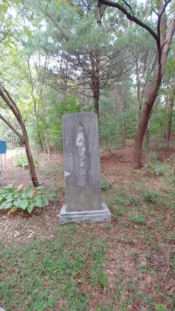 photo-1