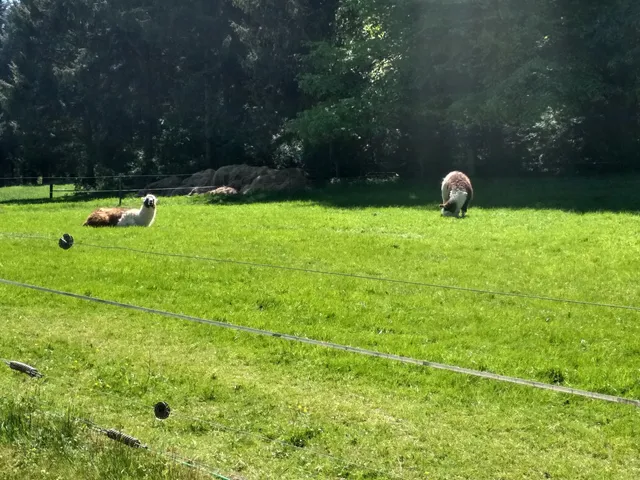 Natur- und Wildnisschule Teutoburger Wald