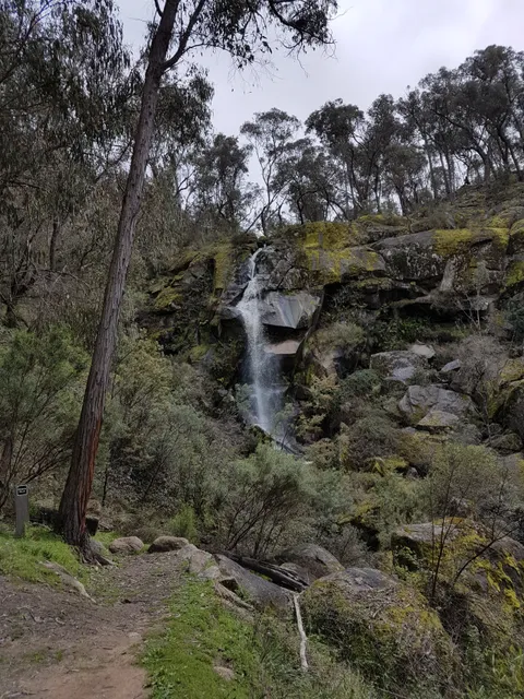 Mount Granya State Park