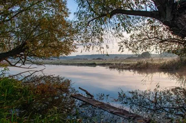 Sakura City Museum Arai Kanpo Memorial Museum